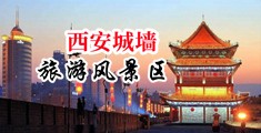 大鸡巴在线污中国陕西-西安城墙旅游风景区